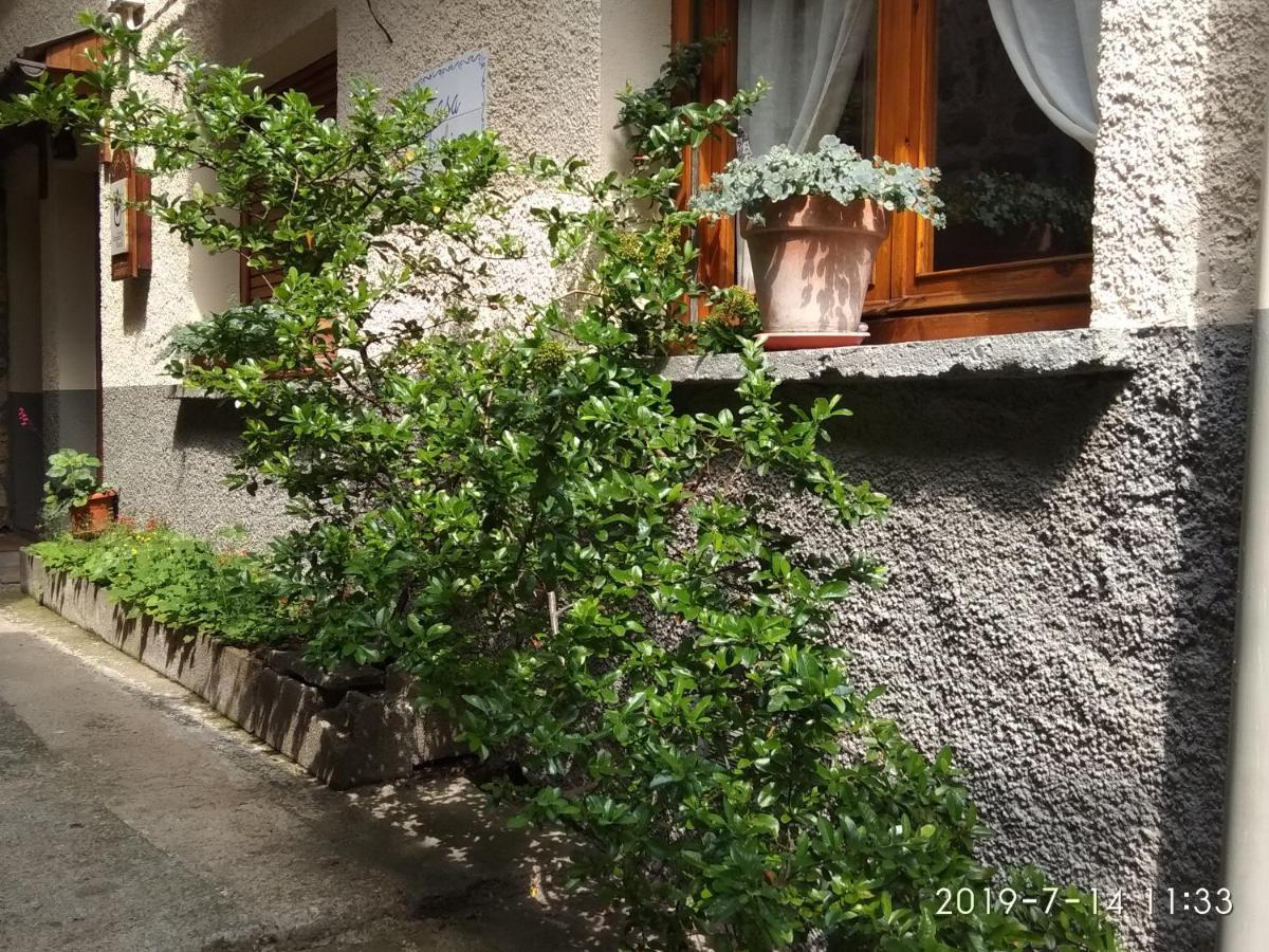 Casa Julio Villa Torla Ngoại thất bức ảnh