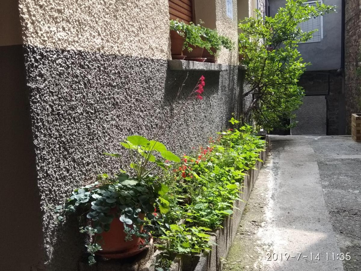 Casa Julio Villa Torla Ngoại thất bức ảnh